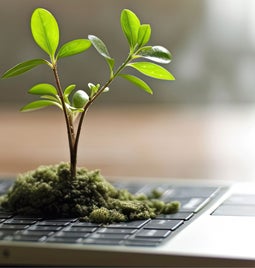 Photo of a plant with green leaves shooting out of a laptop keyboard.