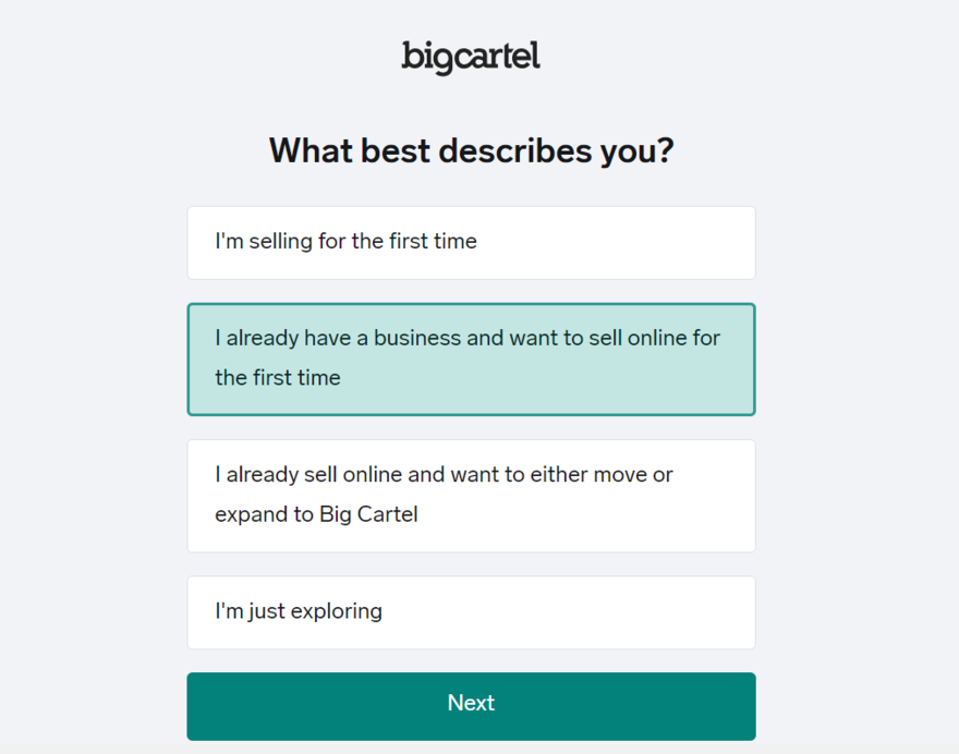 Setup screen from Bg Cartel asking "What best describes you?" with multiple choice answers