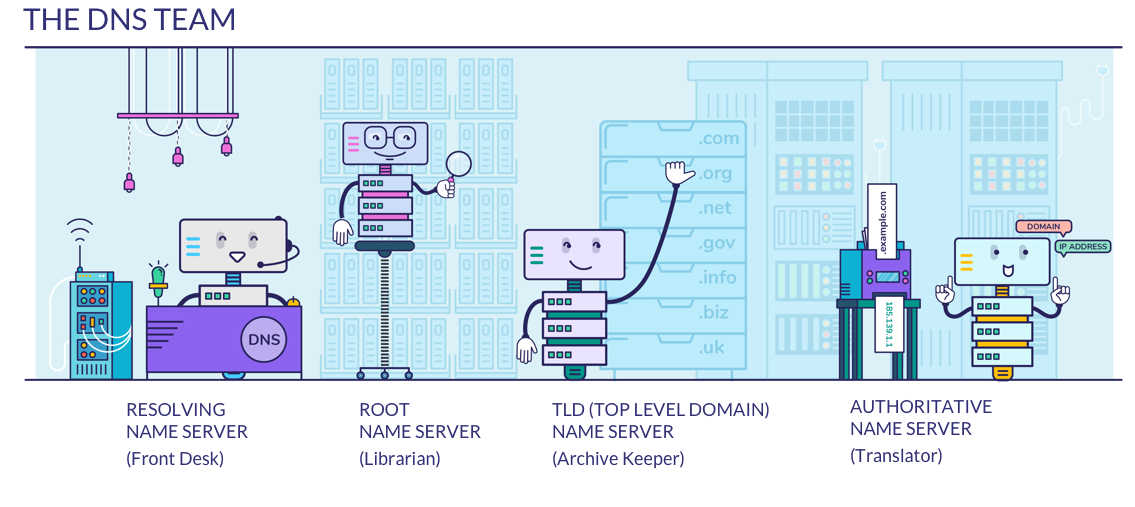 meet the dns team