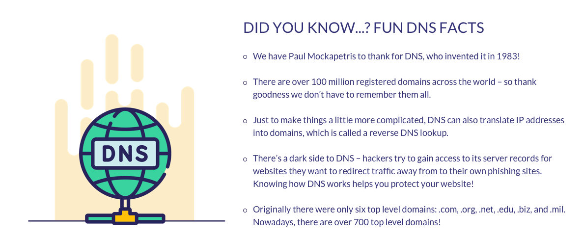 dns facts