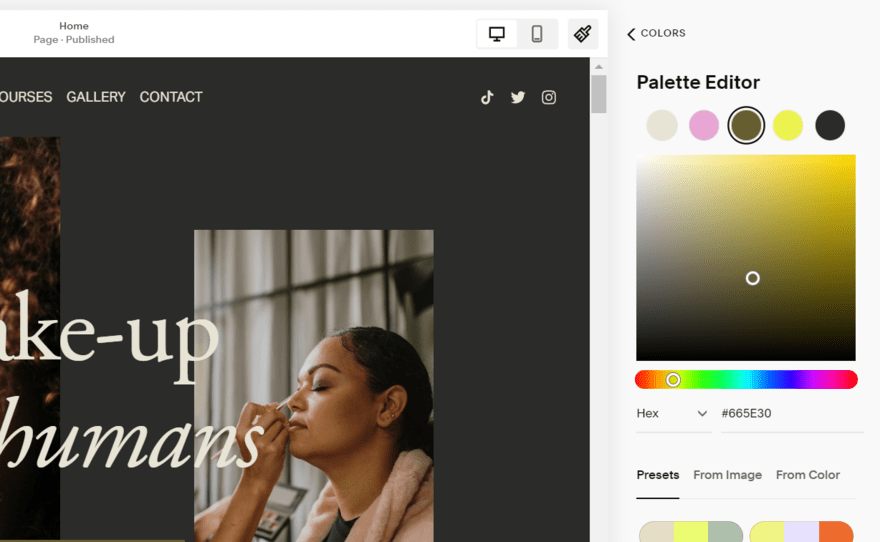 Squarespace's color palette editor, showing the existing website palette and options to choose from presets or upload an image to style from