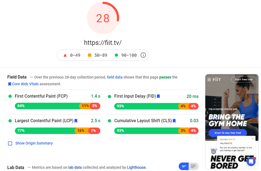 website backgrounds fiit pagespeed insight score