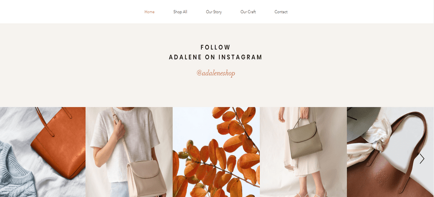 wix online store template adalene instagram